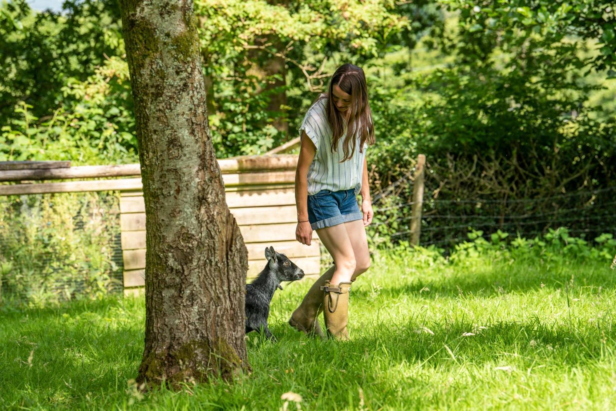 Gilfach Gower Farm Luxury Yurt With Hot Tub Hotel แอมมันฟอร์ด ภายนอก รูปภาพ
