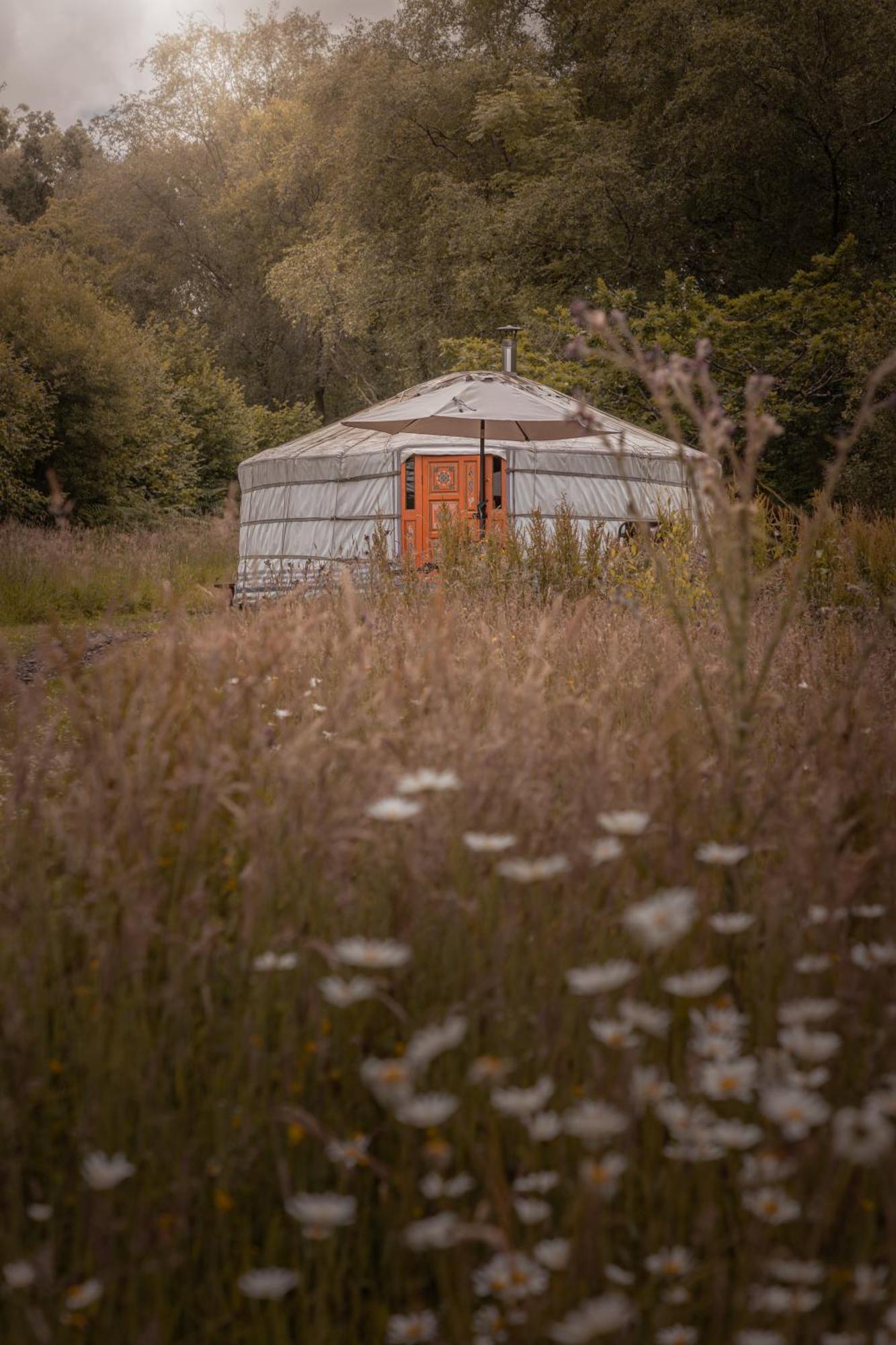 Gilfach Gower Farm Luxury Yurt With Hot Tub Hotel แอมมันฟอร์ด ภายนอก รูปภาพ